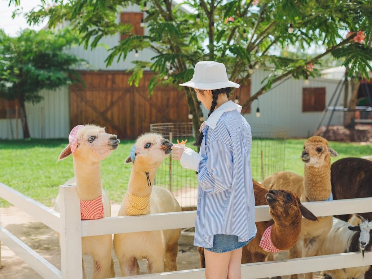 ZooDoo Đà Lạt